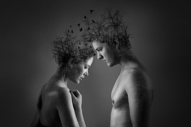 Soulmate Connection